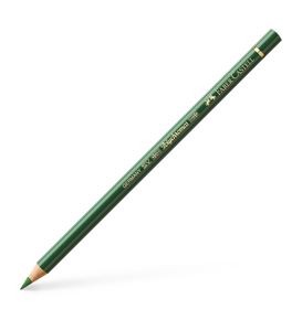 Polychromos Colour Pencil permanent green olive